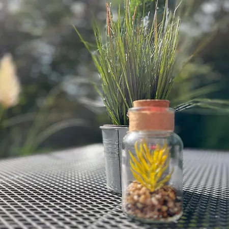 Haffblick 04 - Achterwind * Больтенхаген